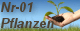 Nr-01 Pflanzenversand - 10,00 Euro Gutschein. Einlösbar ab einem Bestellwert von 75,00 Euro. Je Kunde ist ein Gutschein möglich. 2386 - Nr-01 Pflanzenversand - 10,00 Euro Gutschein. Einlösbar ab einem Bestellwert von 75,00 Euro. Je Kunde ist ein Gutschein möglich.